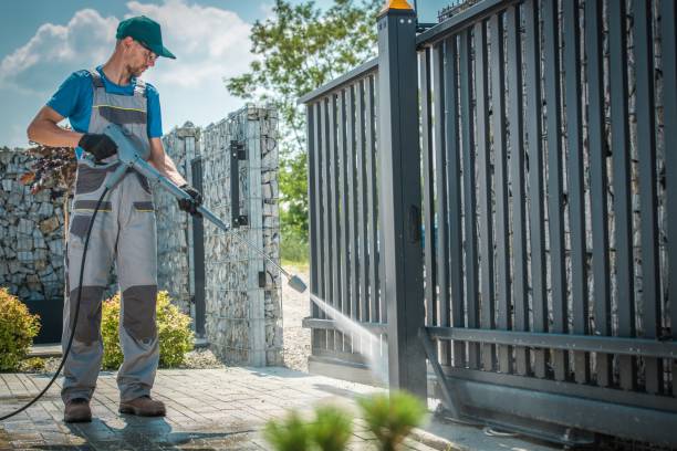 Best Solar Panel Cleaning  in La Villa, TX