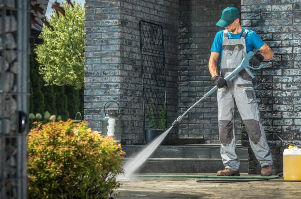 Best Pre-Holiday Cleaning  in La Villa, TX