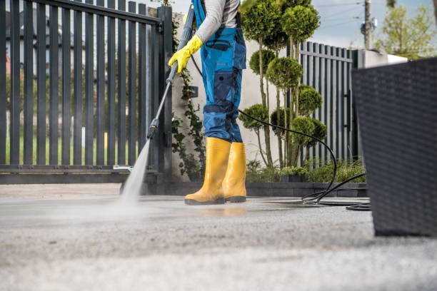 Best Fence Cleaning  in La Villa, TX